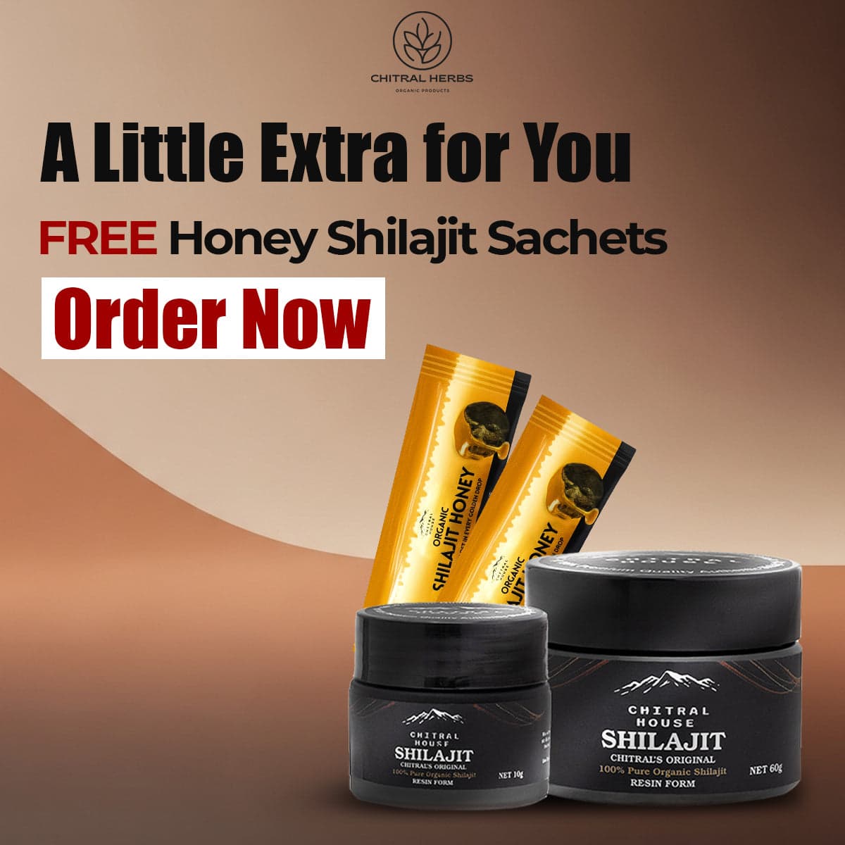 Buy 30g Shilajit in Pakistan – Chitral House Premium Himalayan Resin