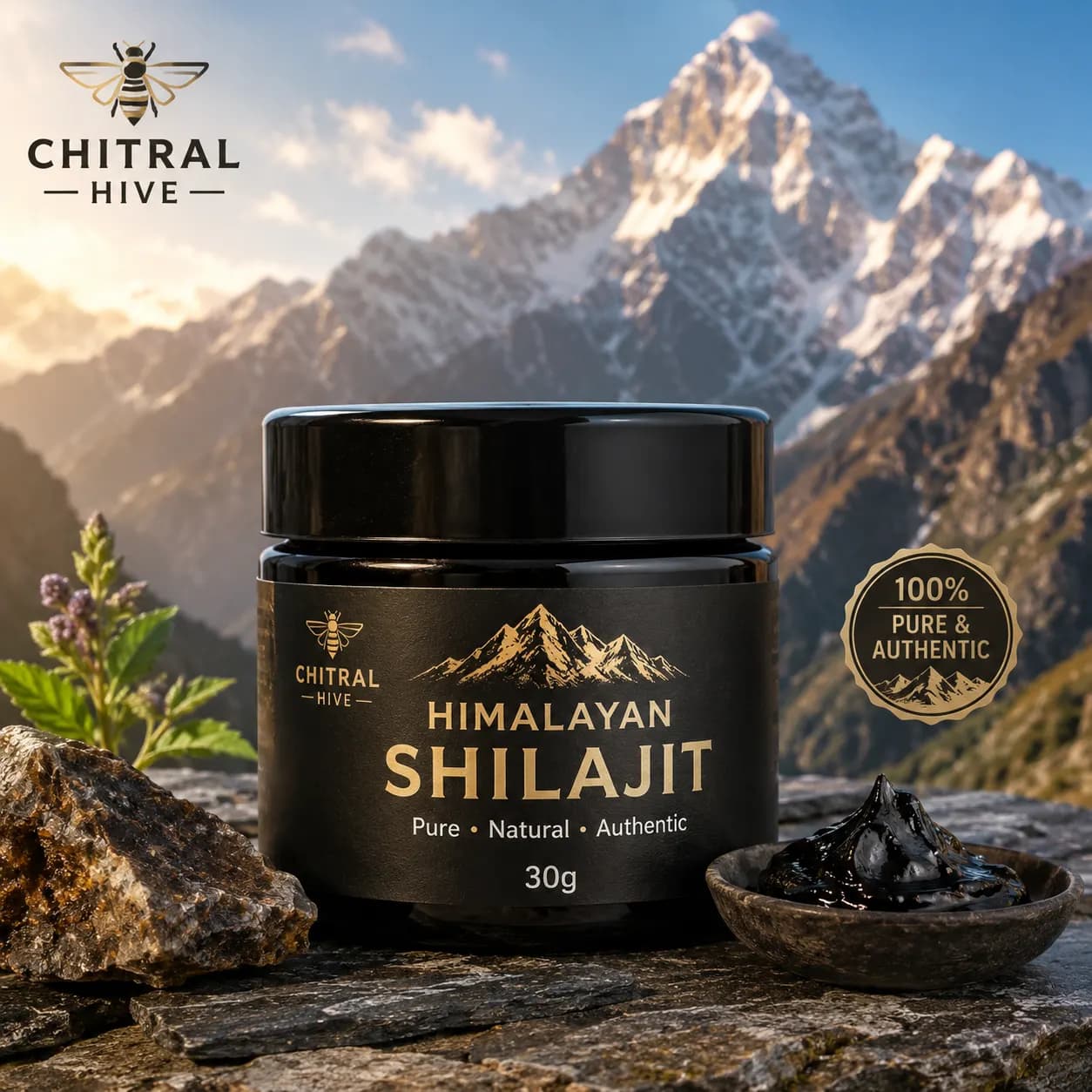 Pure Himalayan Shilajit 30g (Salajit) β Original Chitral Resin