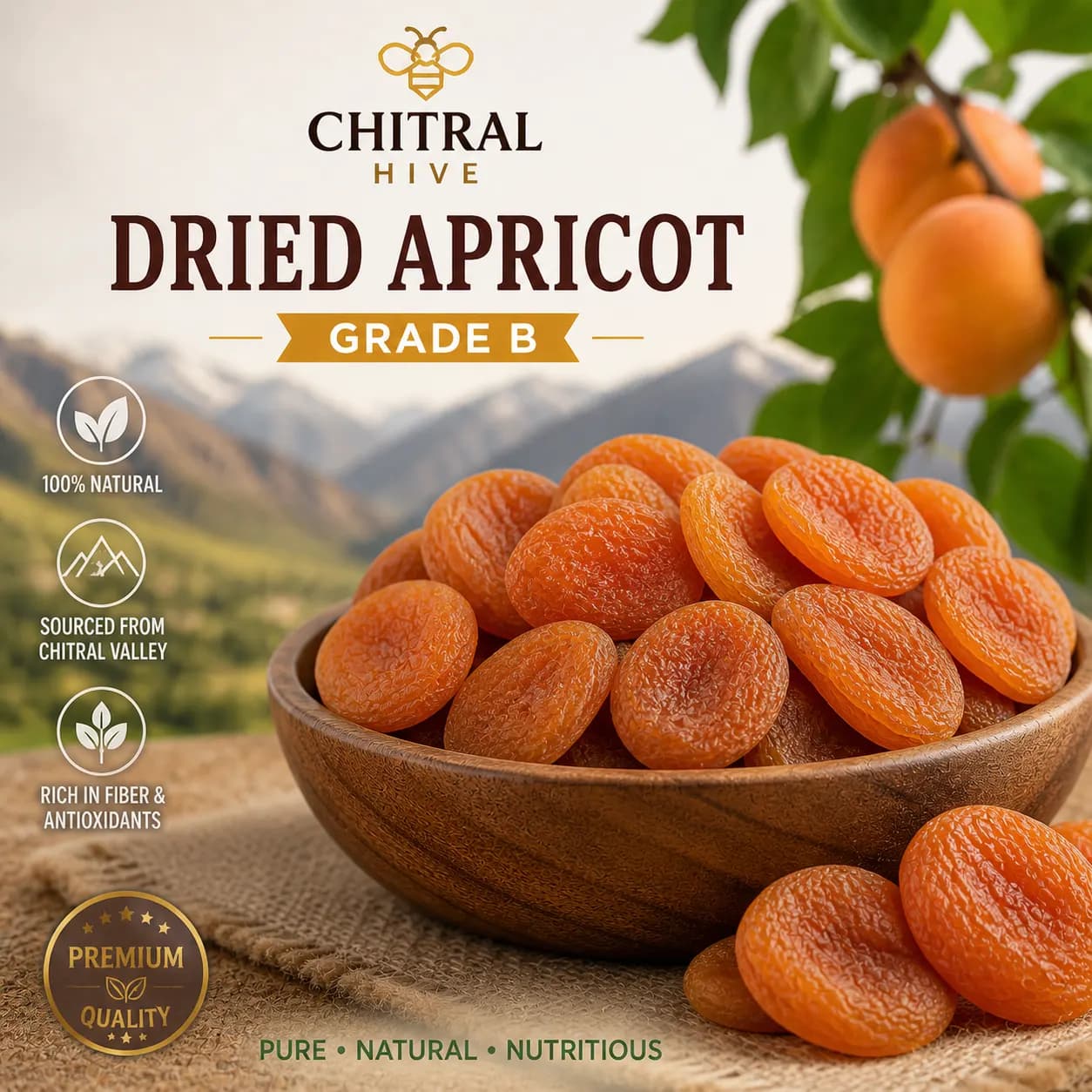 Organic Dried Apricots (Grade B) | 100% Sulfur-Free
