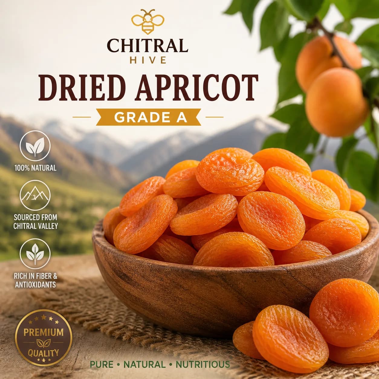 Premium Dried Apricot Grade A — Natural Chitrali Khumani